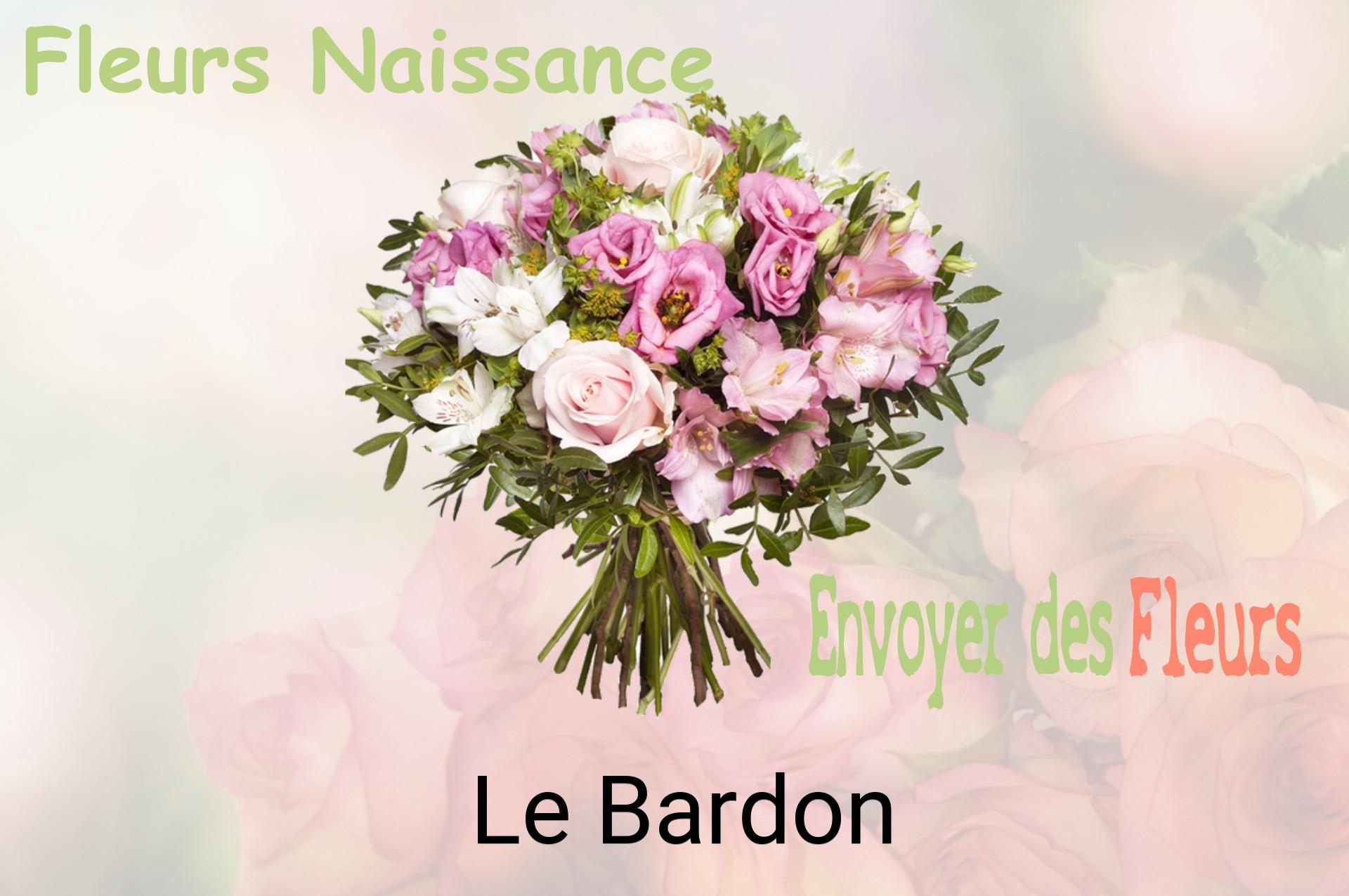Bouquet de fleurs de naissance livré à Le Bardon